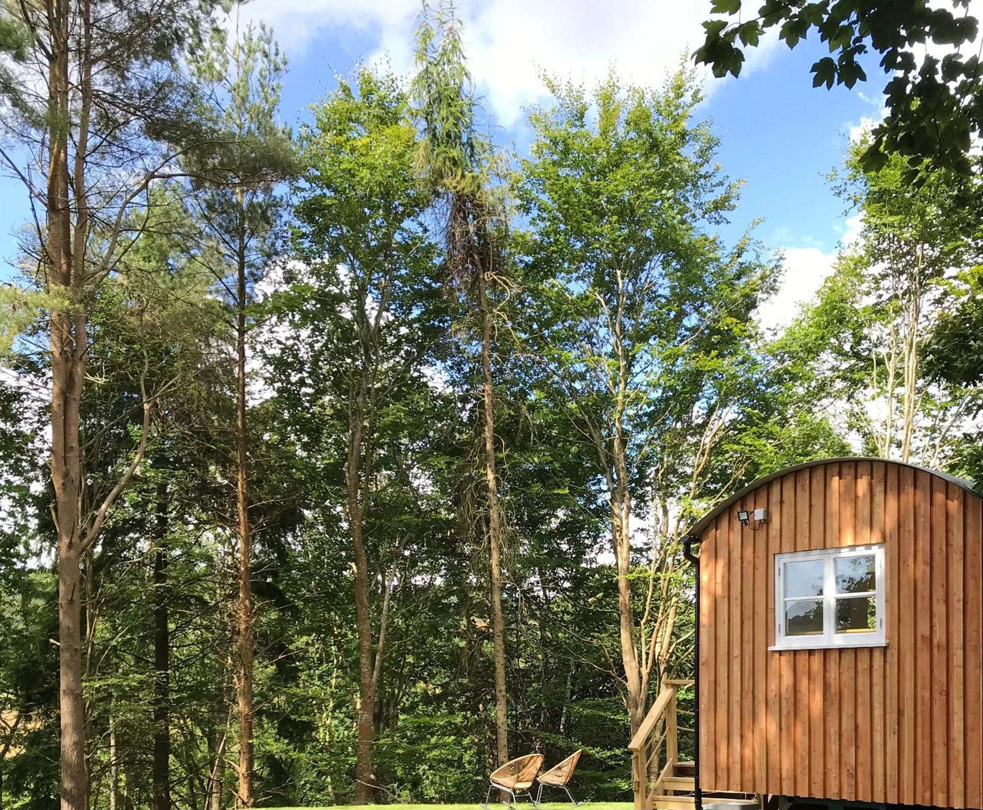 Shepherd'S Hut At Rosewood House Liskeard Exteriör bild